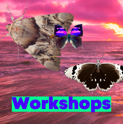 Workshops